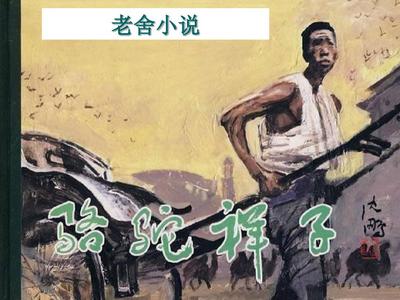 猫咪社区app官网在线入口